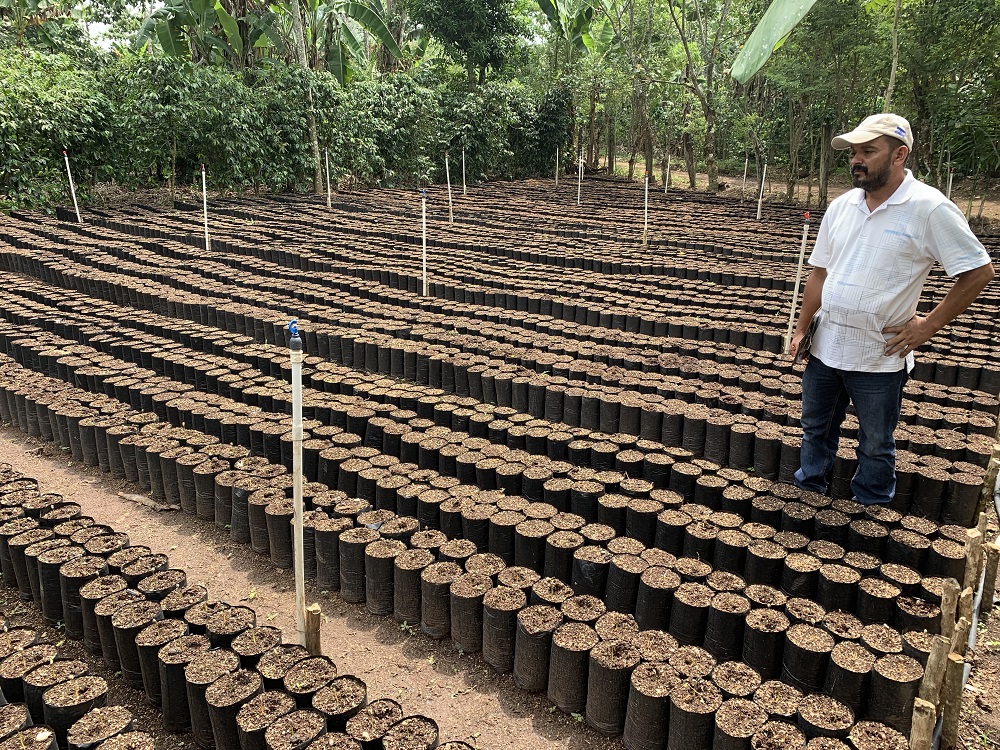 coffee farm and farmer
